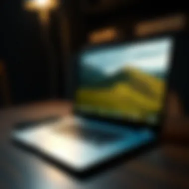 Lightweight Laptop for On-the-Go Professionals Lightweight laptop ideal for travel