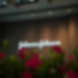 Overview of governance structure