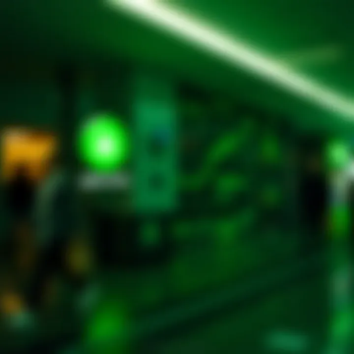 Security in Green Dot Transactions Visual representation of secure transactions