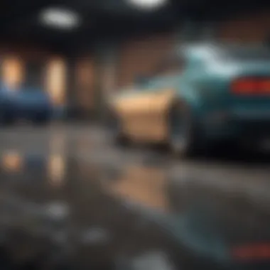 Risk Assessment in Financing Cars Analyzing risk assessments for financed vehicles