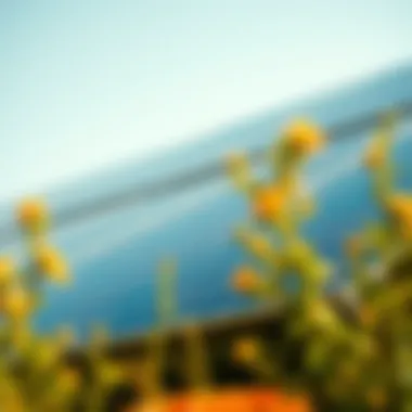 Showcasing top solar panel brands and their reputations