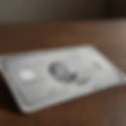 American Express logo with travel elements