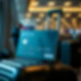 Understanding Baggage Allowances Baggage allowance overview for Amex Platinum Delta SkyMiles cardholders