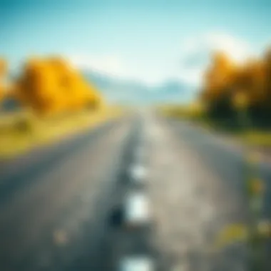 Diverging Paths in Financial Decisions Conceptual image of a road diverging into two paths