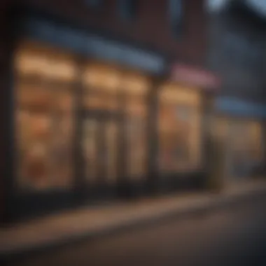 Diverse small business storefronts showcasing various industries in the US