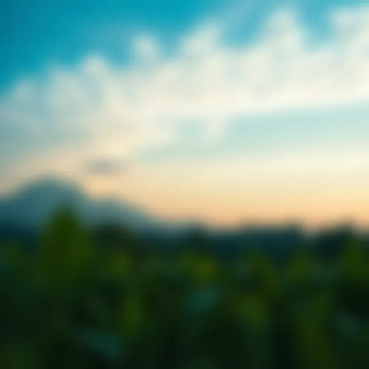 A Landscape of Opportunities A serene landscape symbolizing new beginnings and potential