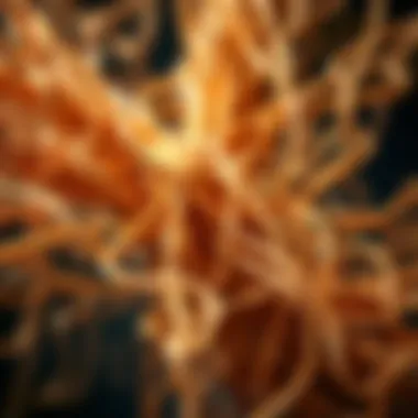 Complexity of Investment Fees and Biases An abstract representation of tangled strings, reflecting the complexity of investment fees and biases.